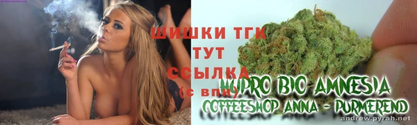 сатива Армянск