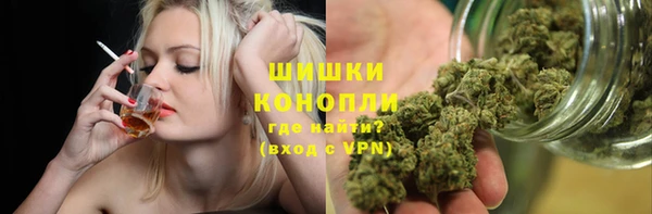 амф Аркадак