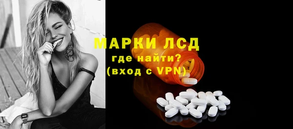 сатива Армянск