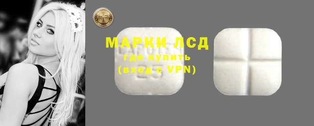 амф Аркадак