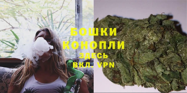 амф Аркадак