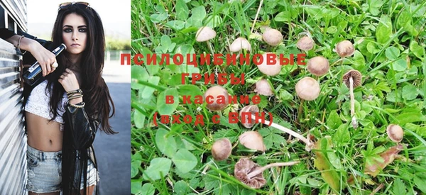 сатива Армянск