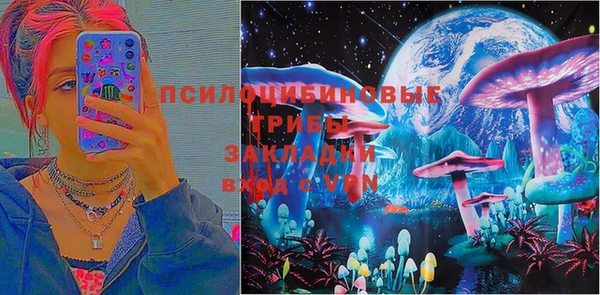 амф Аркадак