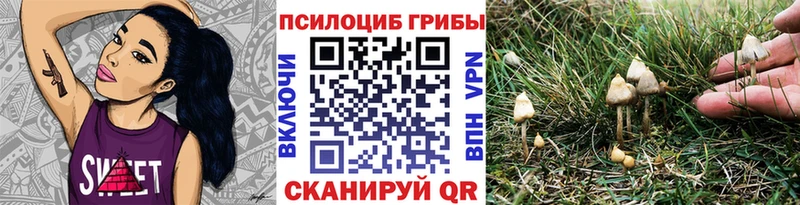 Галлюциногенные грибы мицелий  Кола 